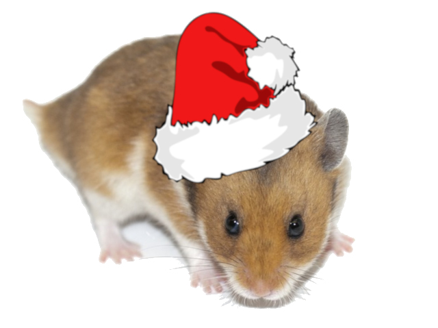 Hamster Weihnachten
