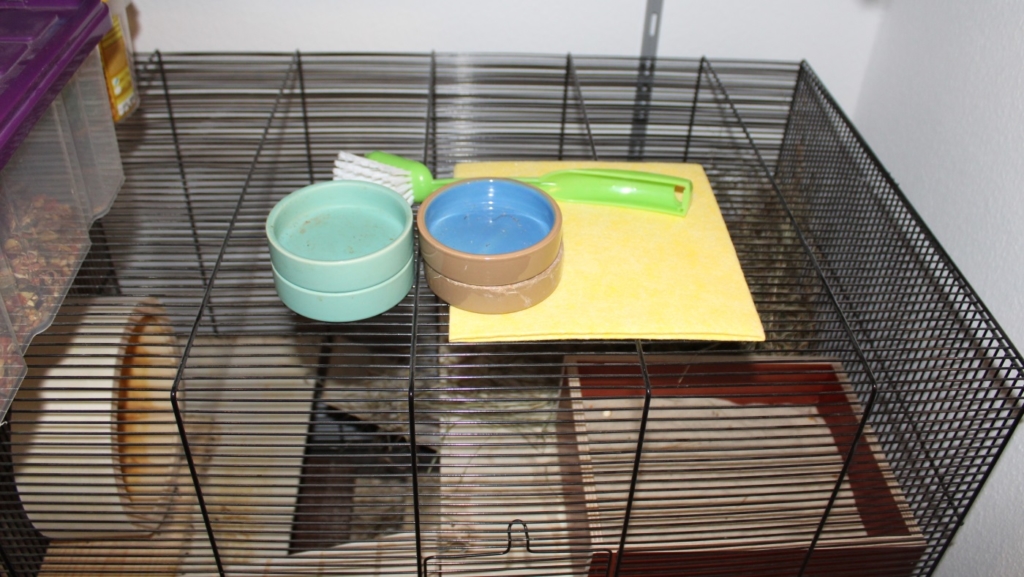 Hamsterkäfig reinigen - So macht man es sich einfach