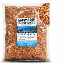MeerBach Animal Gammarus Bachflohkrebse getrocknet • 5000ml Premium Futter • gesunder und natürlicher Snack für Fische, Wasserschildkröten, Vögel, Reptilien und Nager - 1
