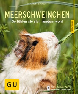 Meerschweinchen: So fühlen sie sich rundum wohl - 1