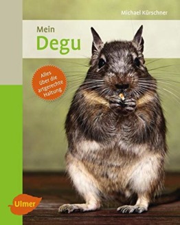 Mein Degu zu Hause - 1