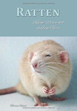 Ratten: Kleine Wesen mit großem Herz - 1