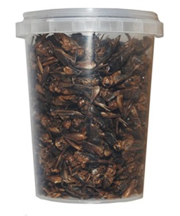 Tropic-Shop 500 ml Grillen gefriergetrocknete/getrocknet | Reptilienfutter, Schildkrötenfutter, Futtertiere Igelfutter Vogelfutter - 1